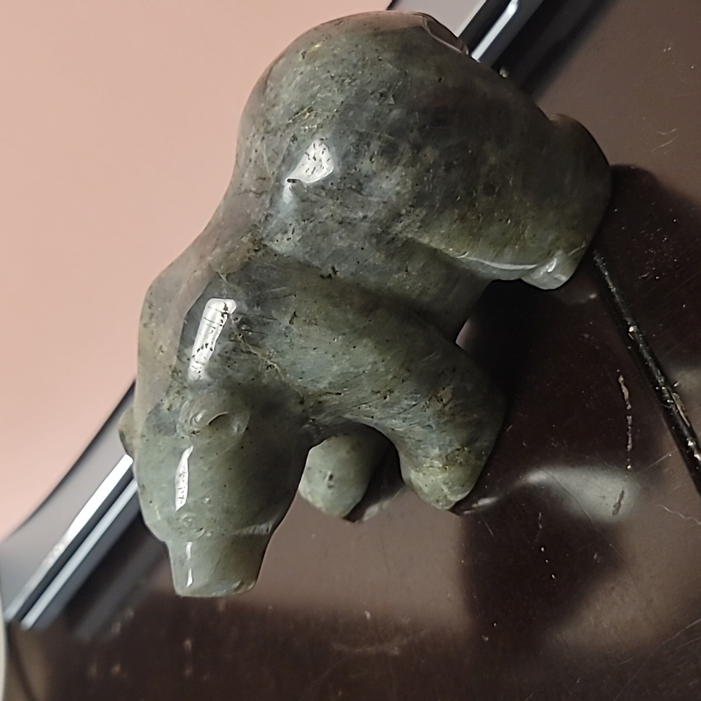 laboridite  polar bear